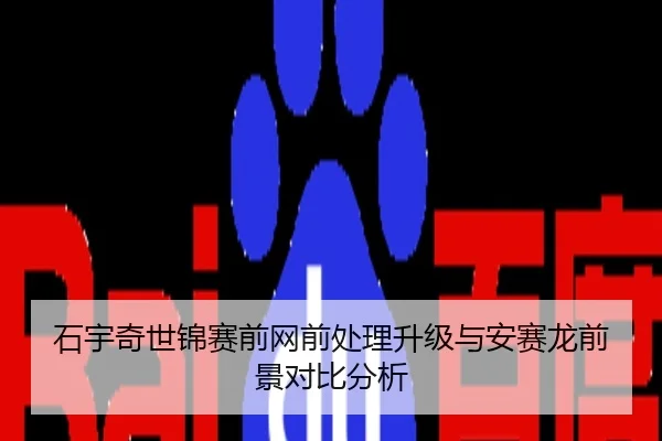 石宇奇世锦赛前网前处理升级与安赛龙前景对比分析